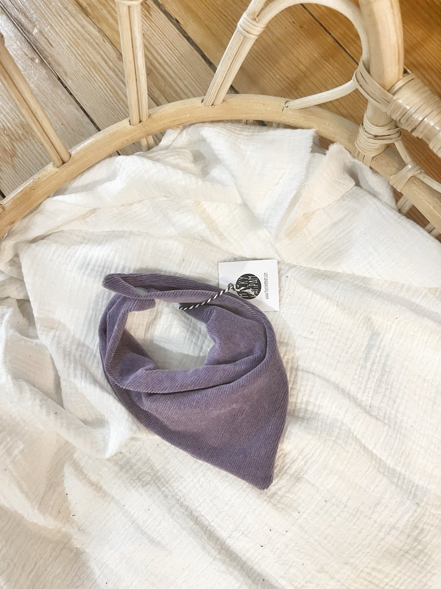 Sofortverkauf Simple Bib Halstuch Cord Violet